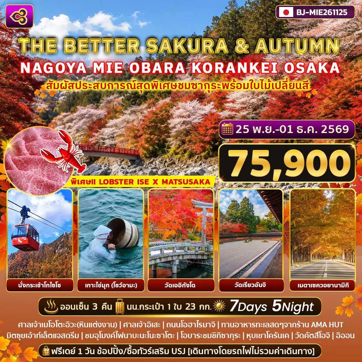 ทัวร์ญี่ปุ่น THE BETTER SAKURA & AUTUMN NAGOYA MIE OBARA KORANKEI OSAKA 7วัน 5คืน (TG)